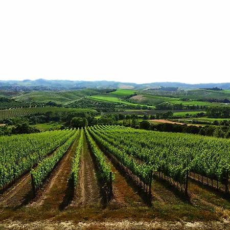 Badia Di Morrona 2* Soianella